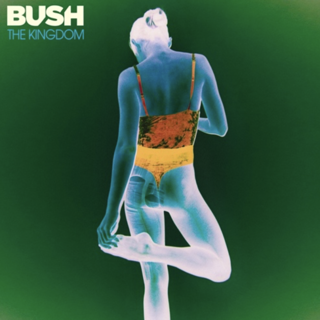 Bushs The Kingdom Debuts At No 1 On Billboards Hard Music Albums 
