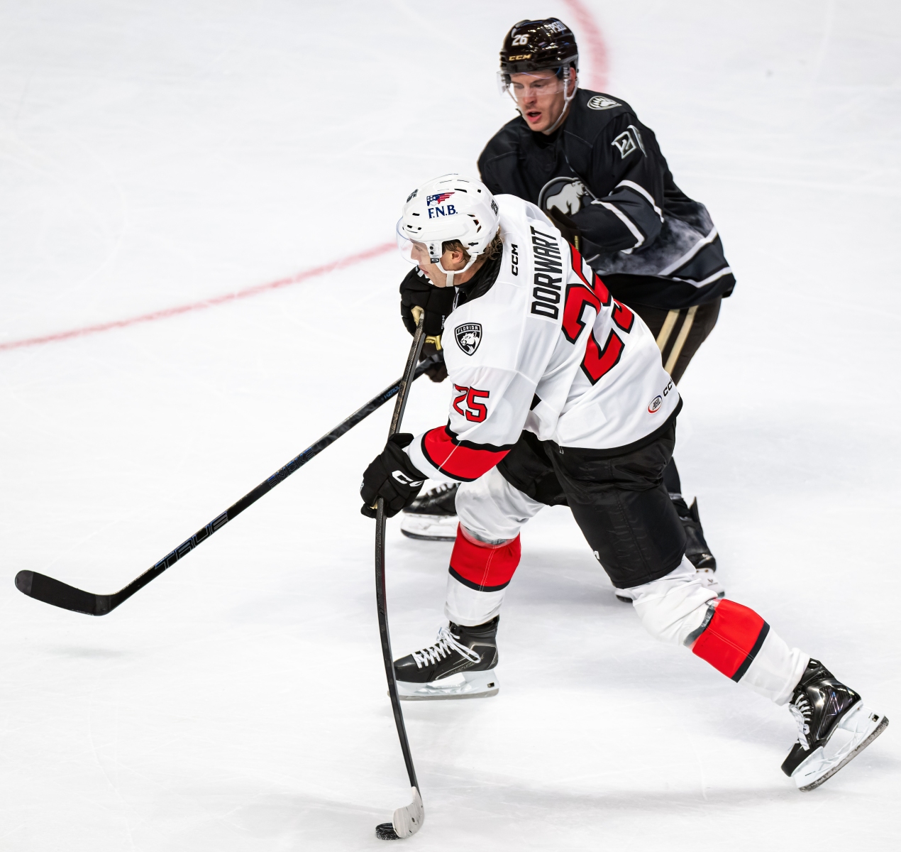 BSD1102_DxO-copy