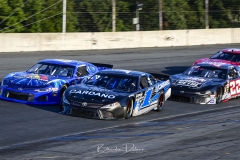 BSD4989_DxO-copy