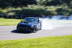 BSD2586_DxO-copy
