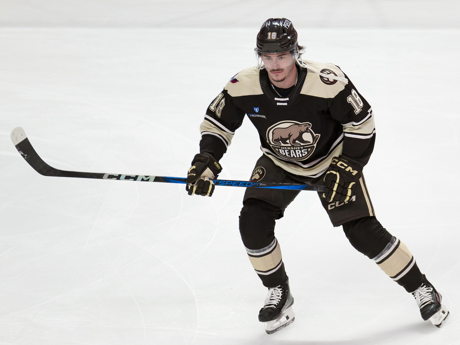 AHL Hockey