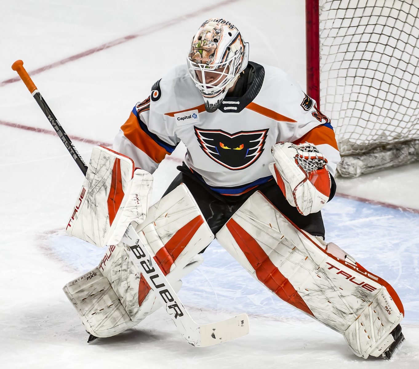 AHL Hockey