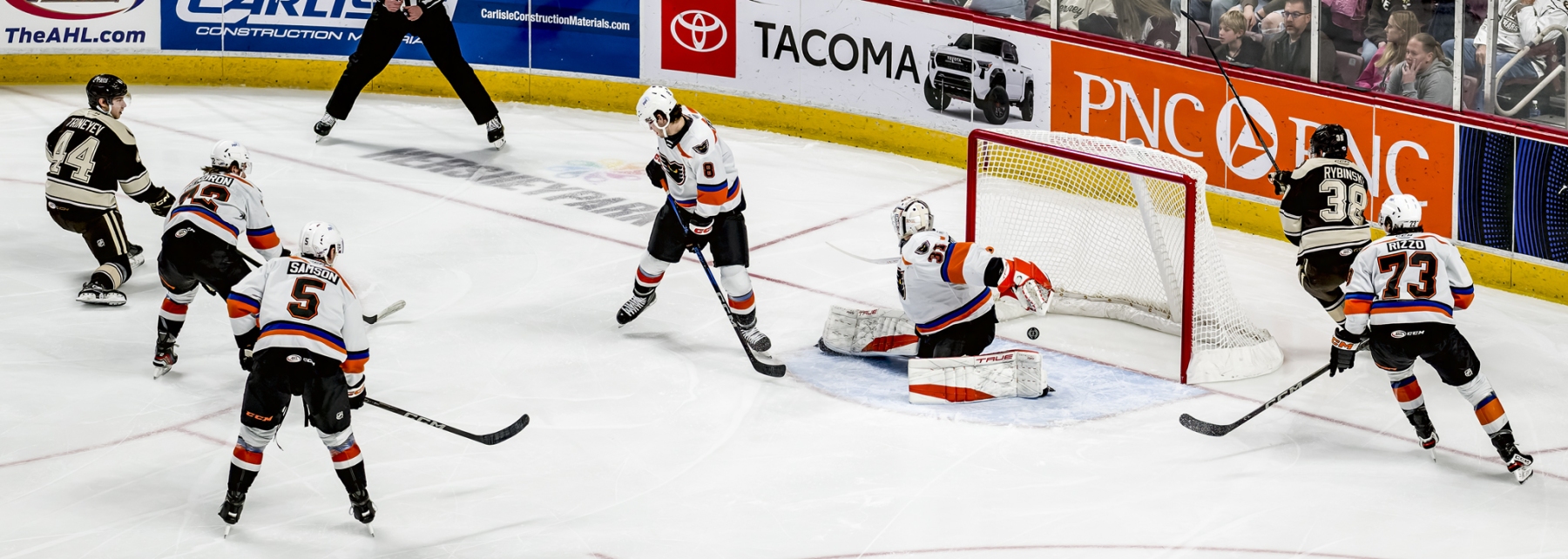 AHL Hockey