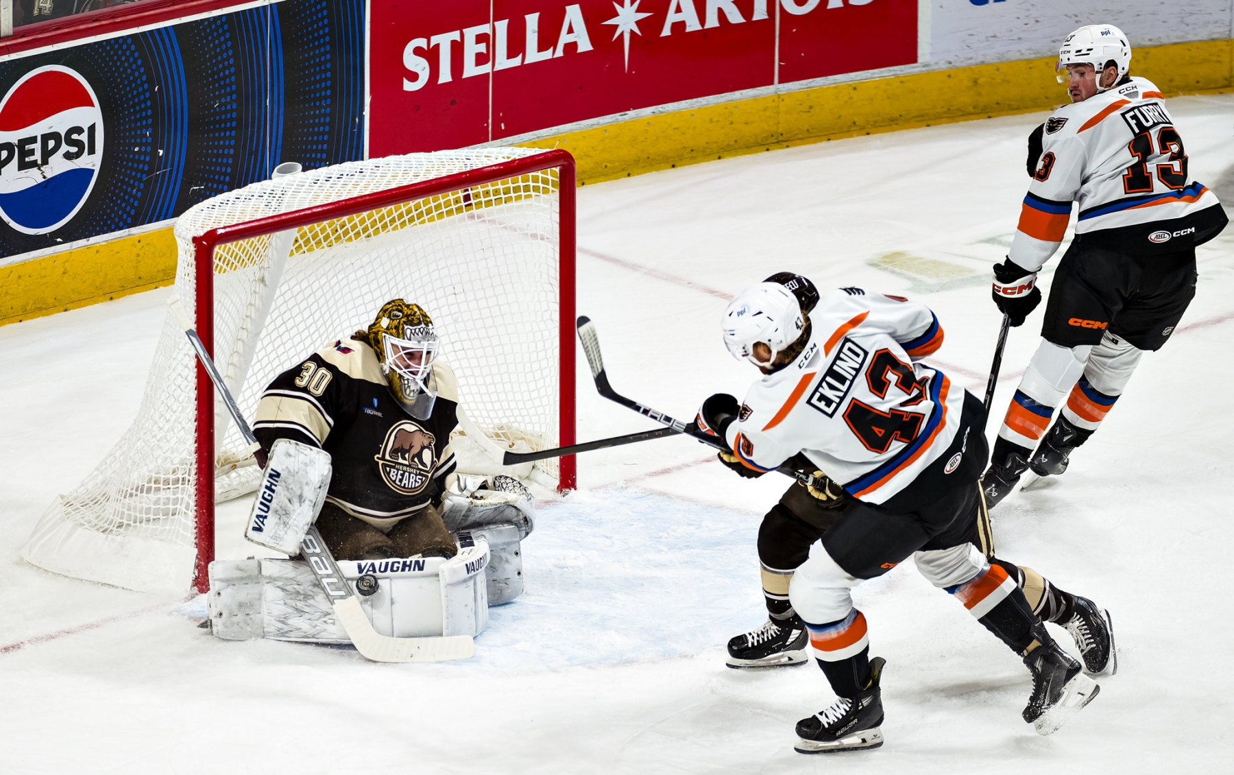 AHL Hockey