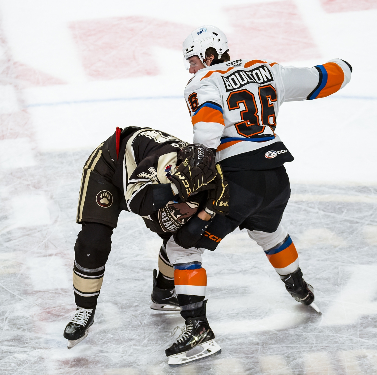 AHL Hockey