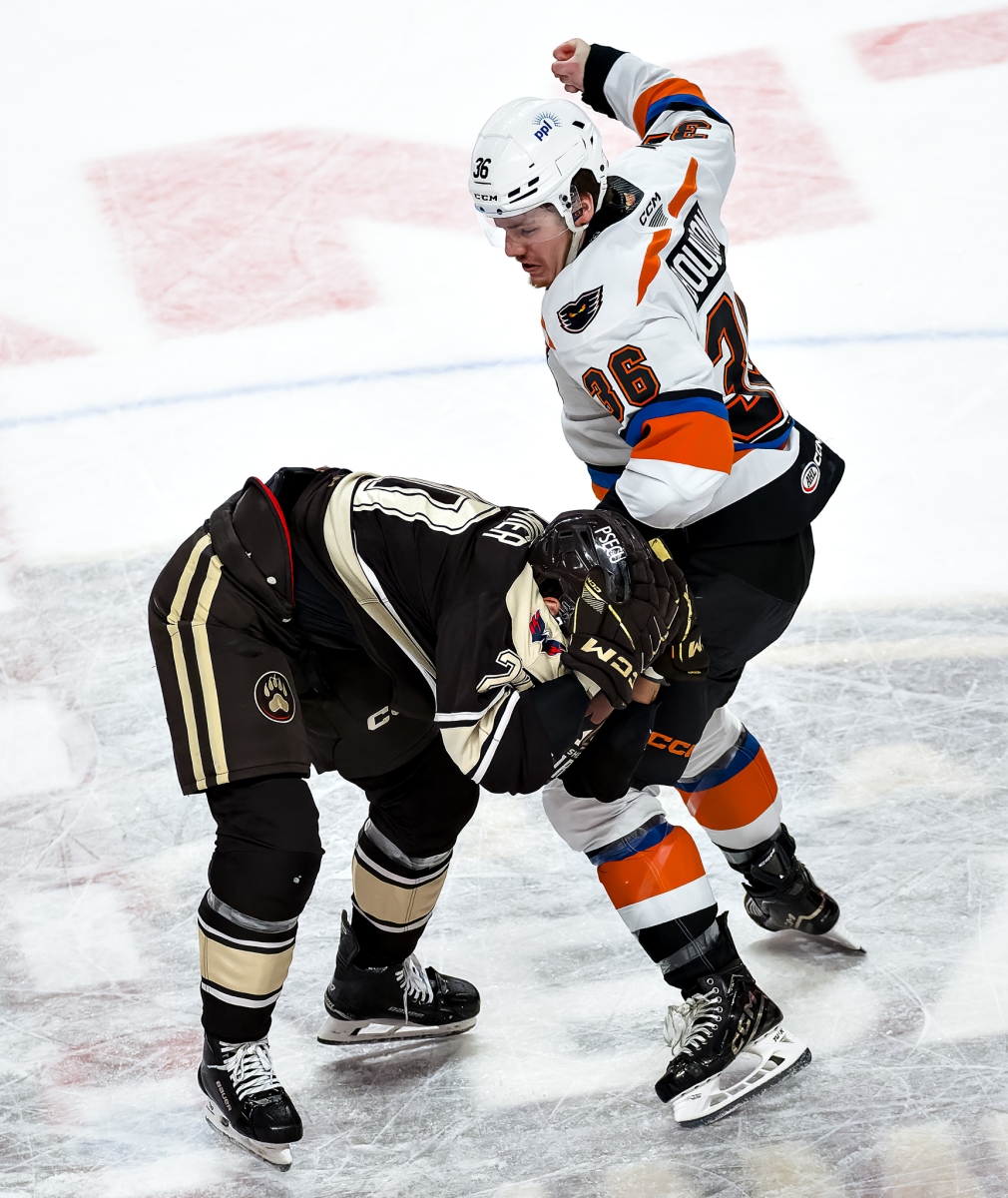 AHL Hockey