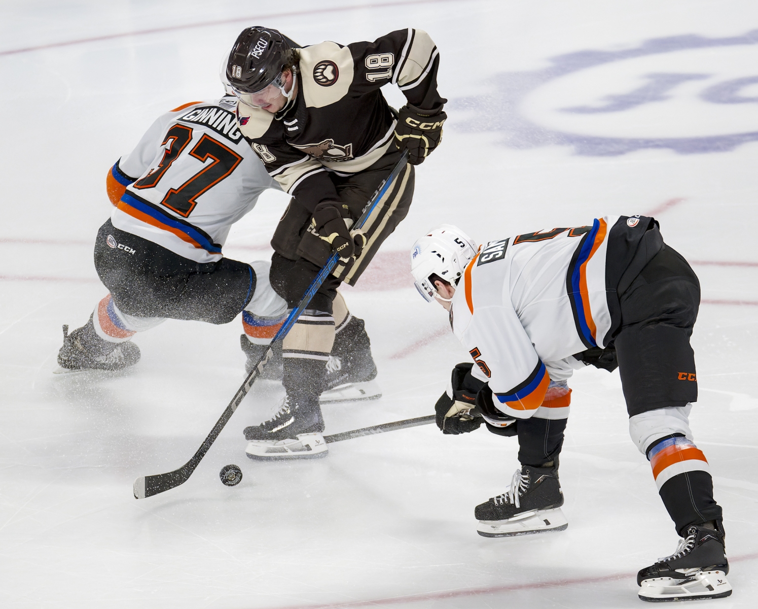 AHL Hockey