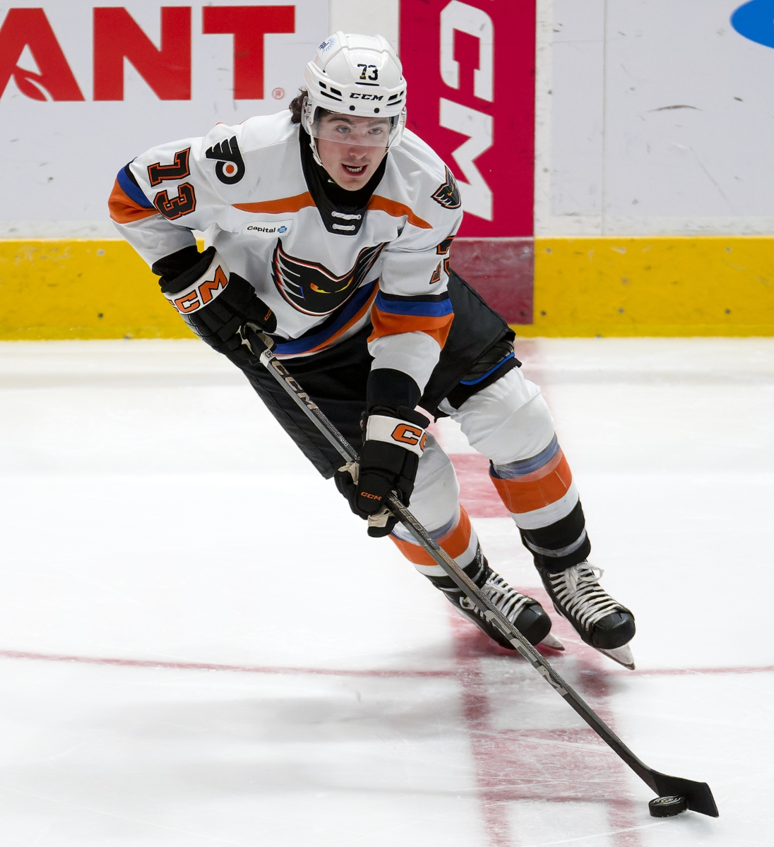 AHL Hockey