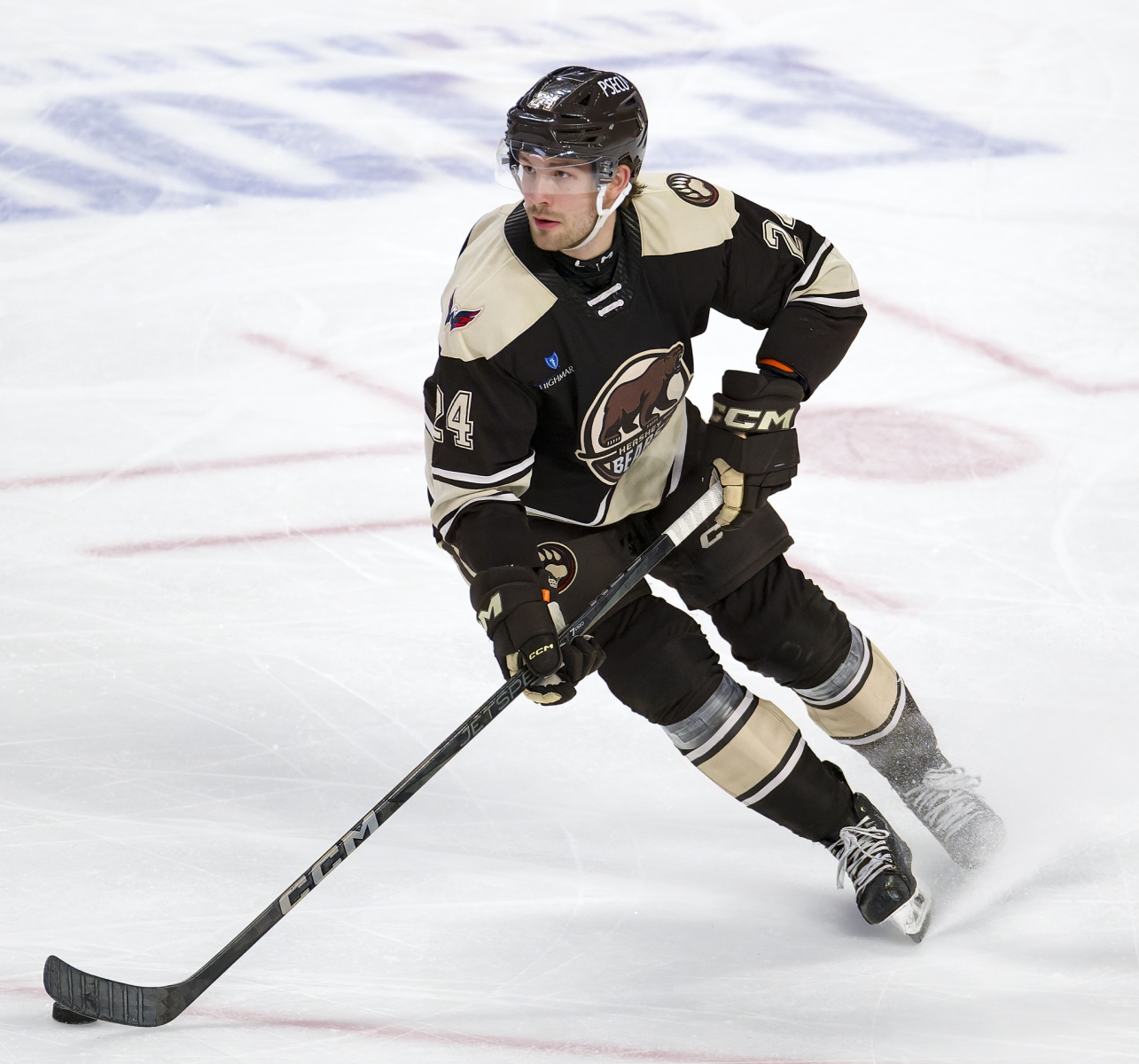 AHL Hockey