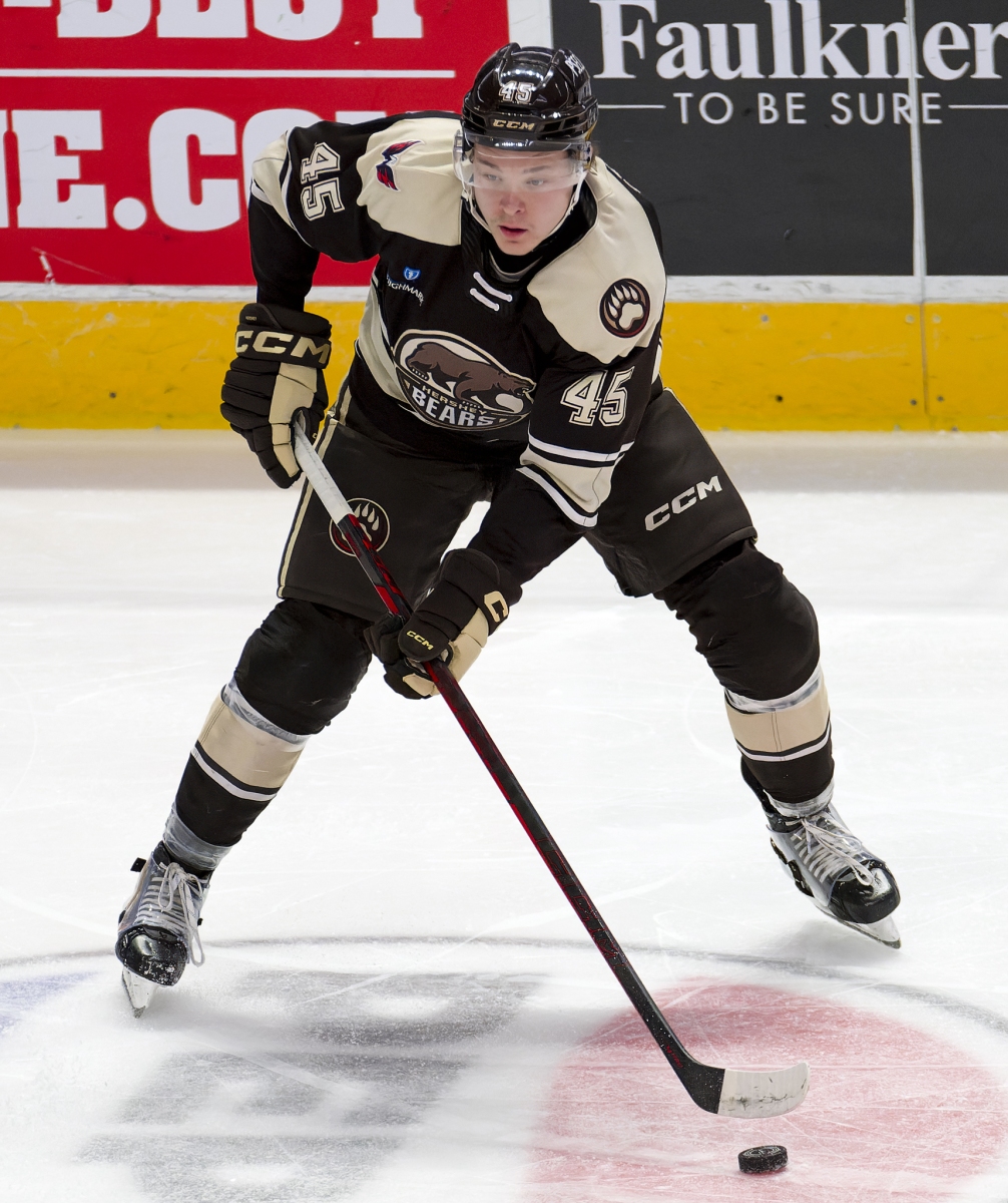 AHL Hockey