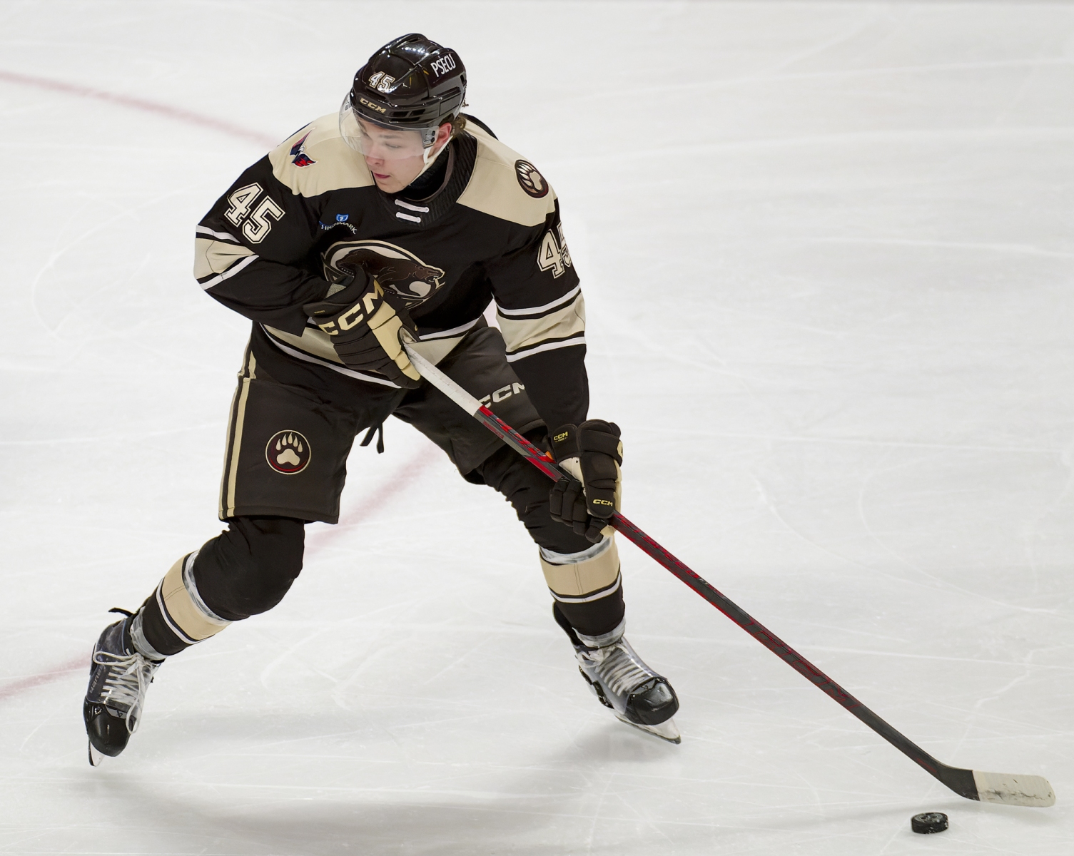 AHL Hockey