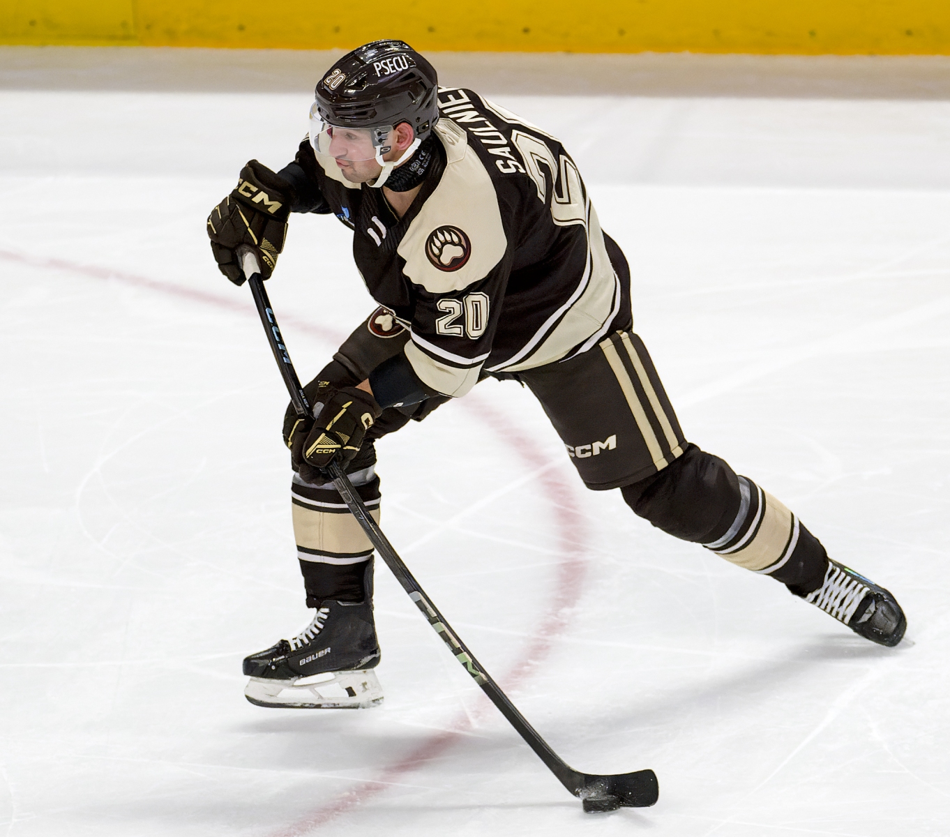 AHL Hockey