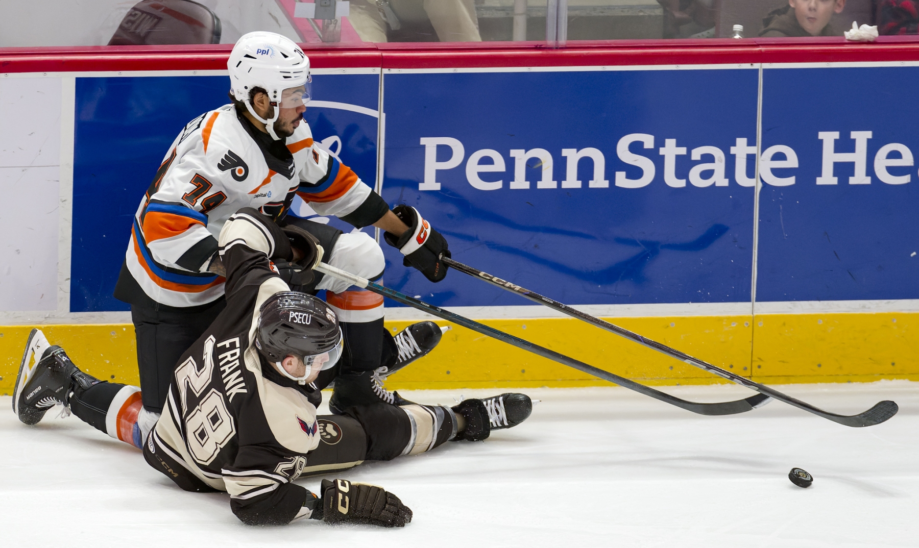 AHL Hockey