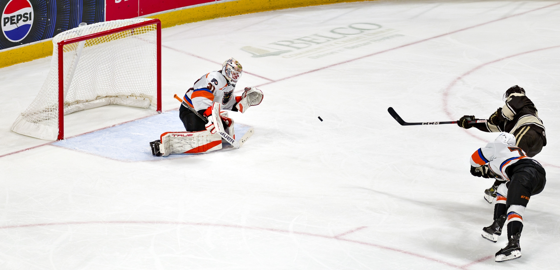AHL Hockey