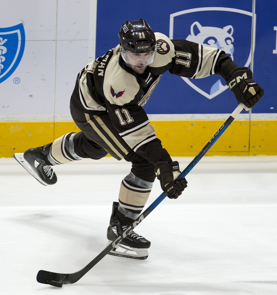 AHL Hockey