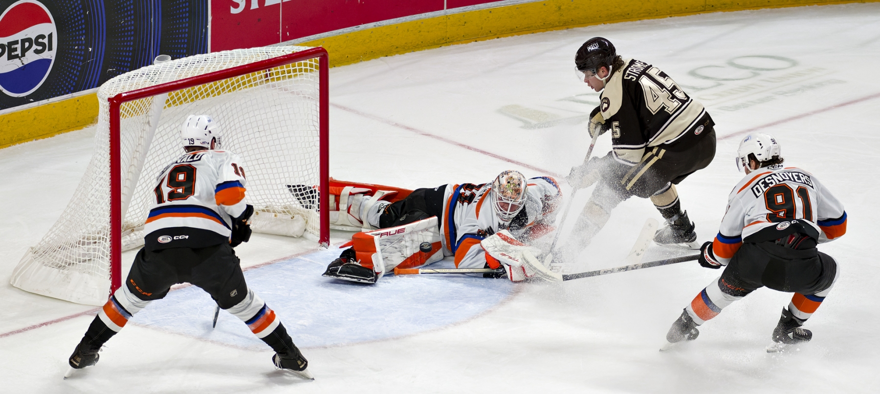 AHL Hockey