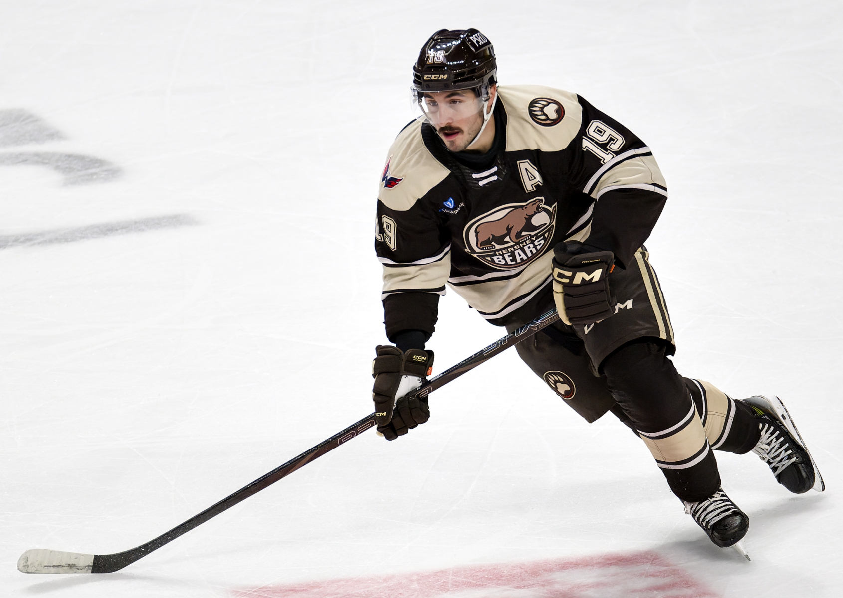 AHL Hockey