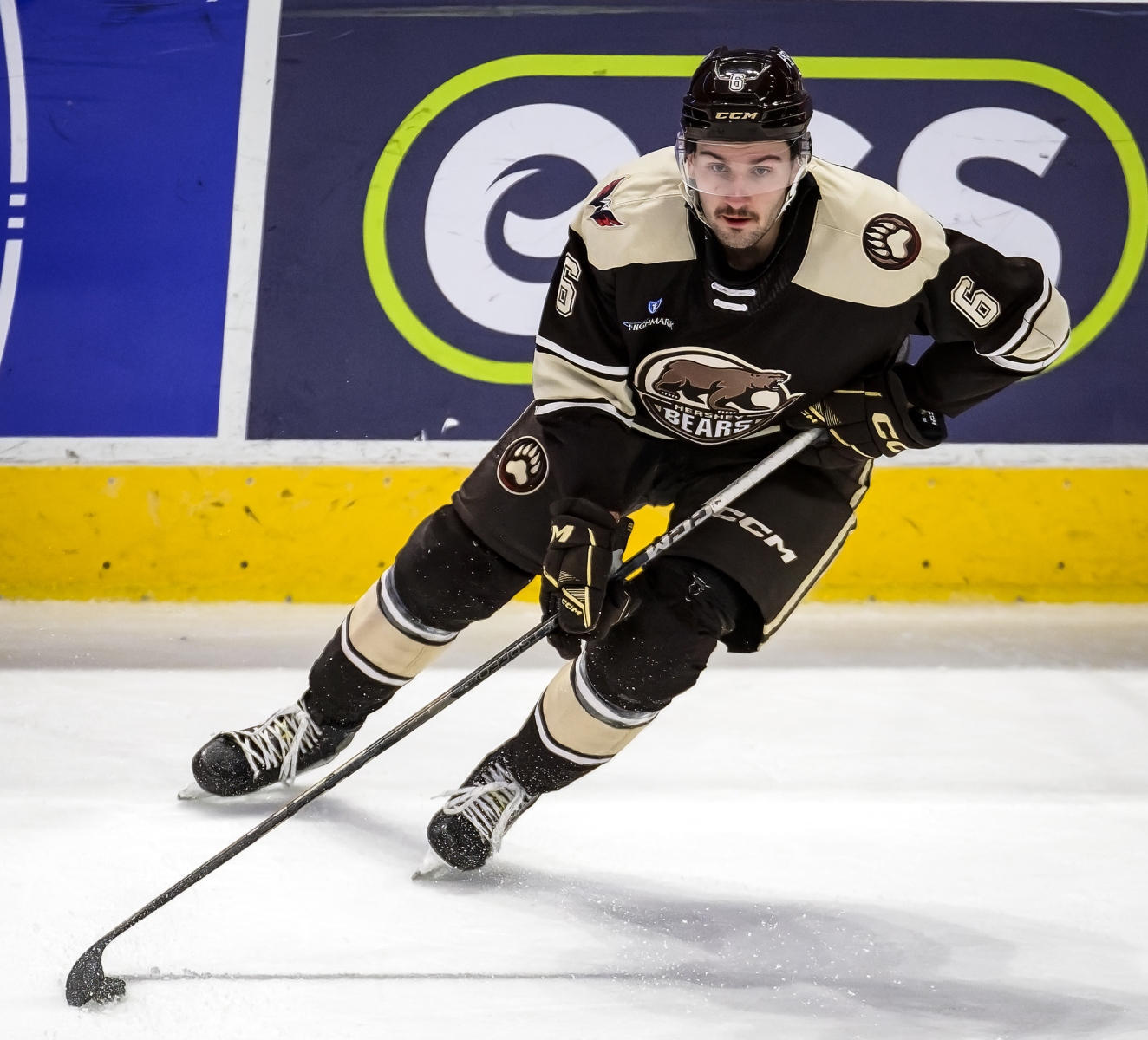 AHL Hockey