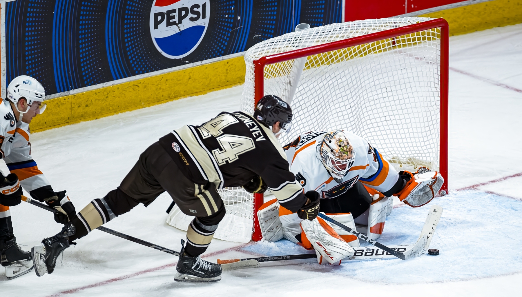 AHL Hockey