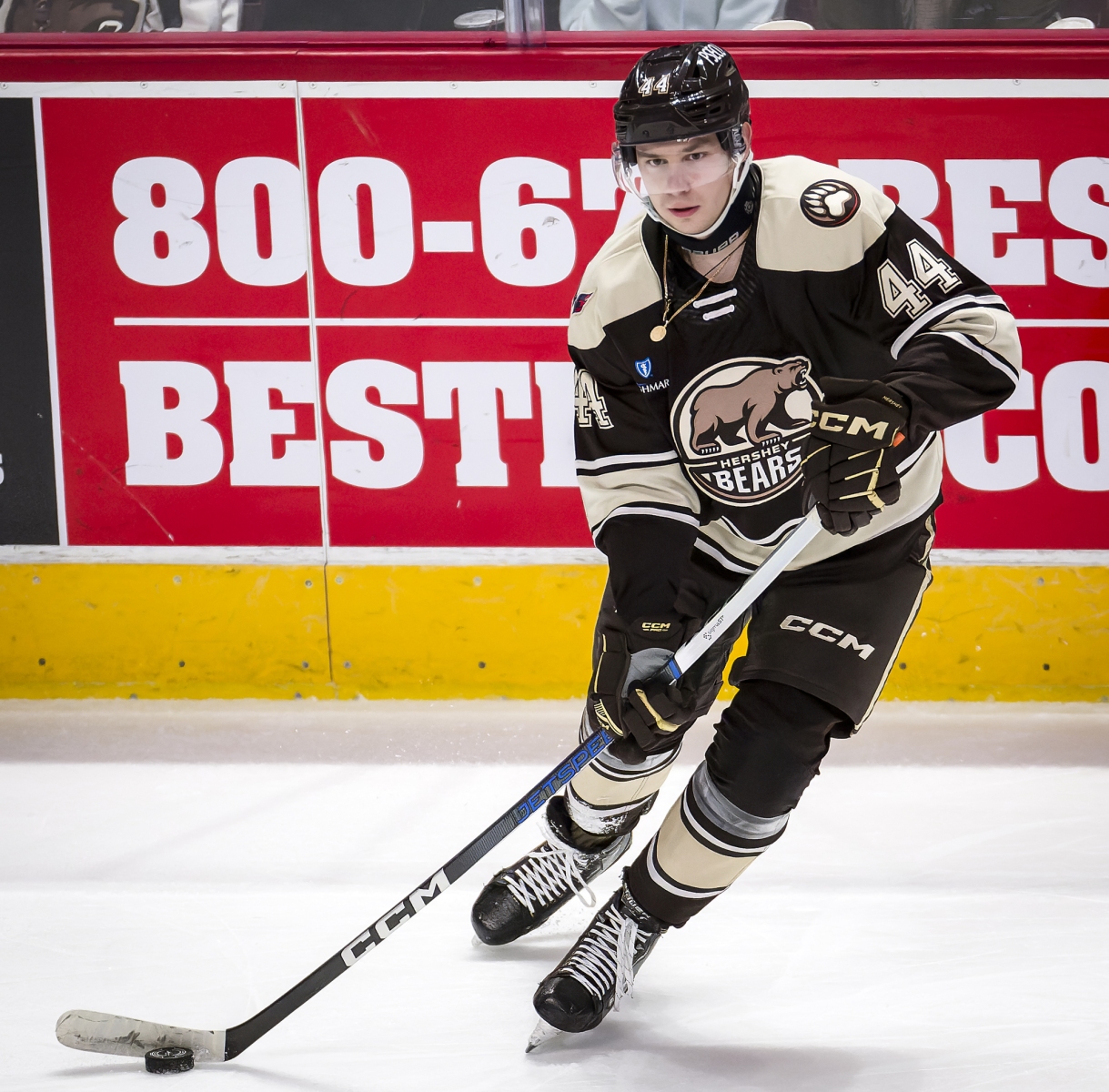 AHL Hockey