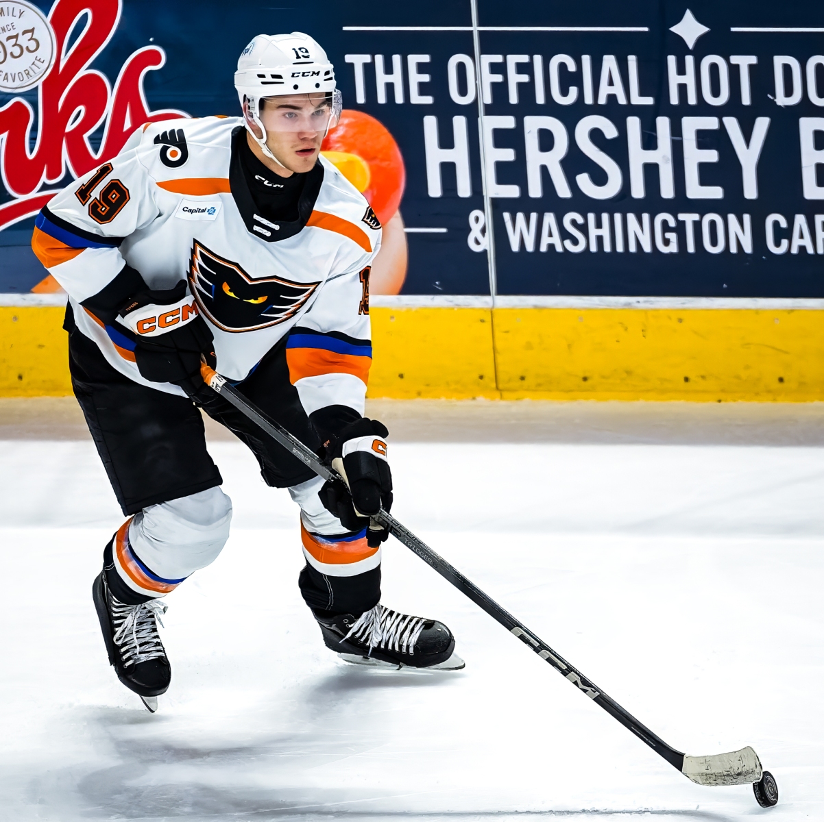 AHL Hockey