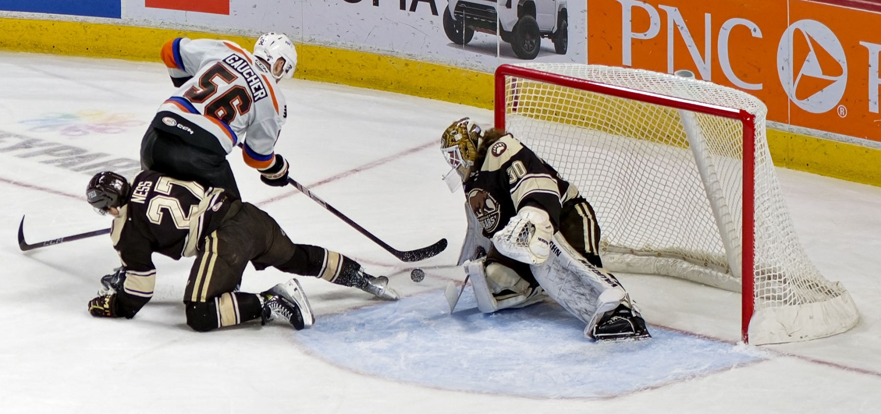 AHL Hockey