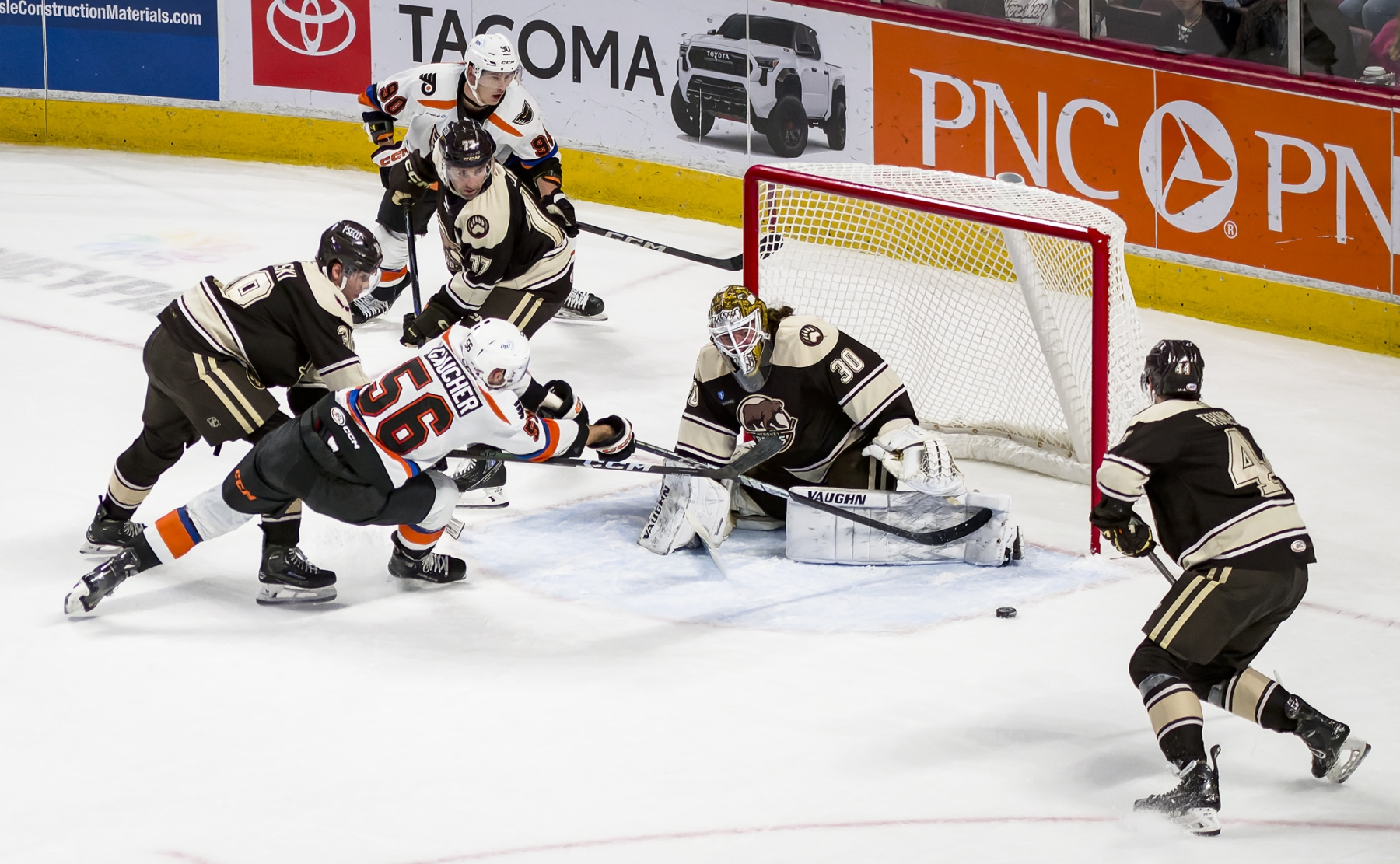 AHL Hockey