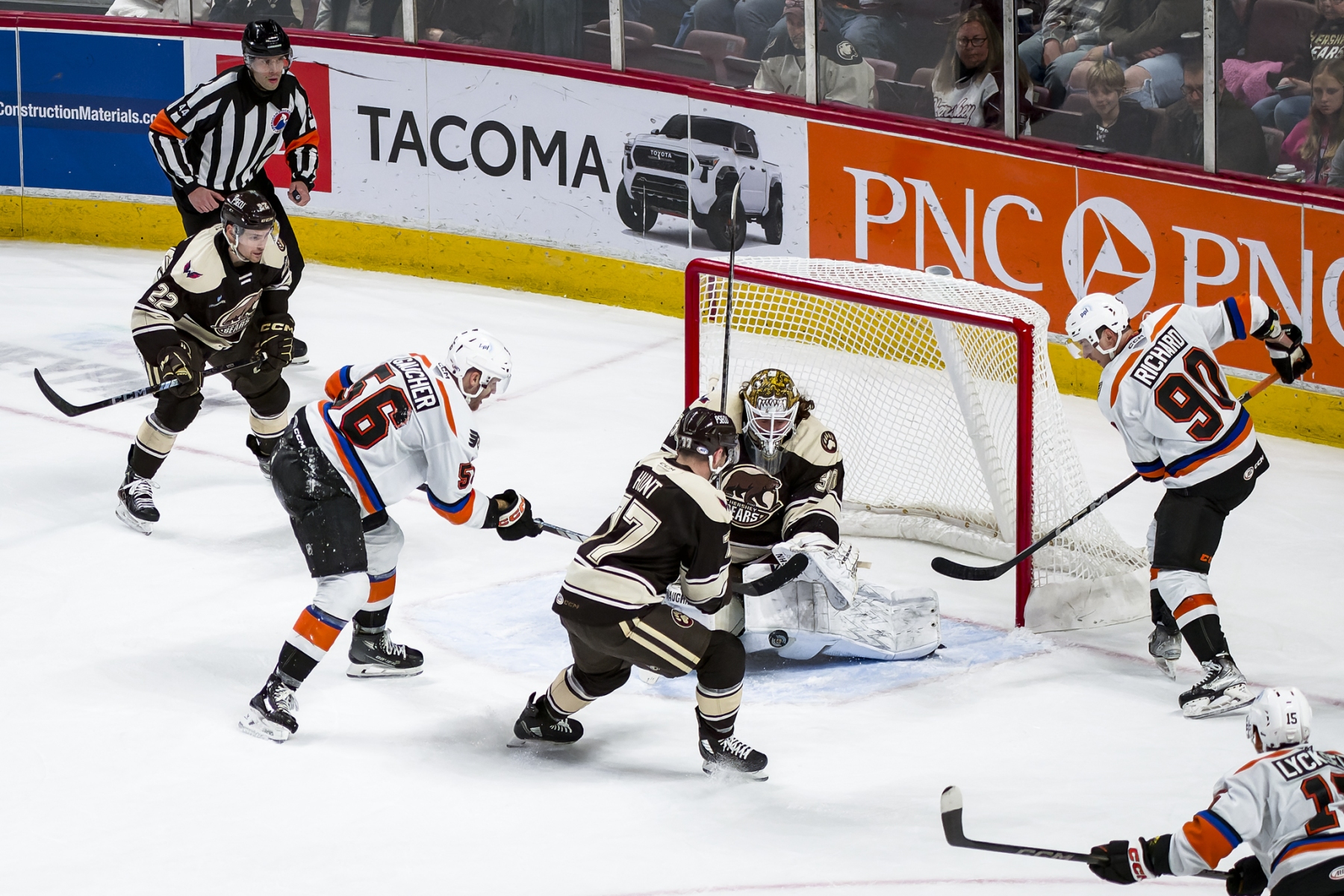 AHL Hockey