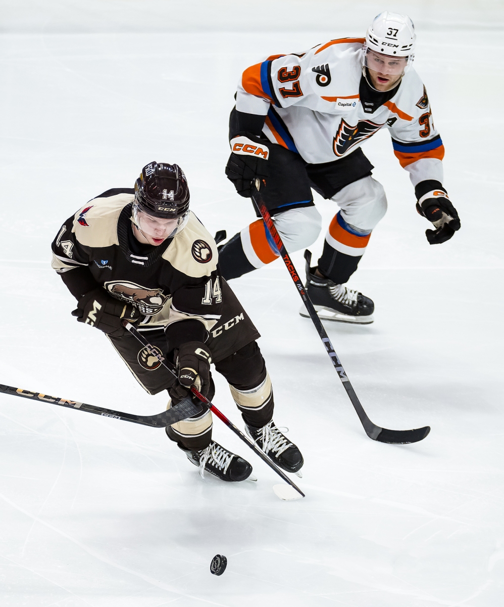 AHL Hockey