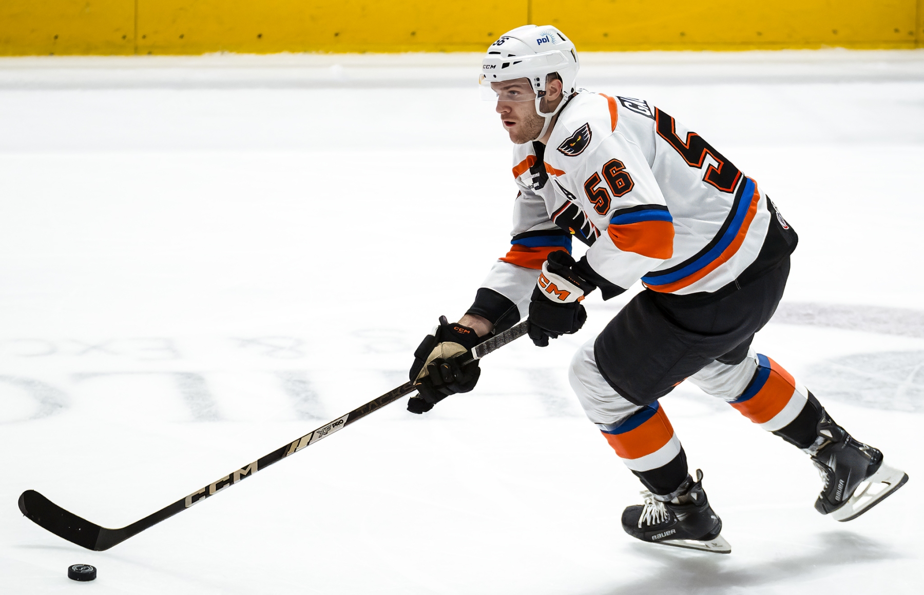 AHL Hockey