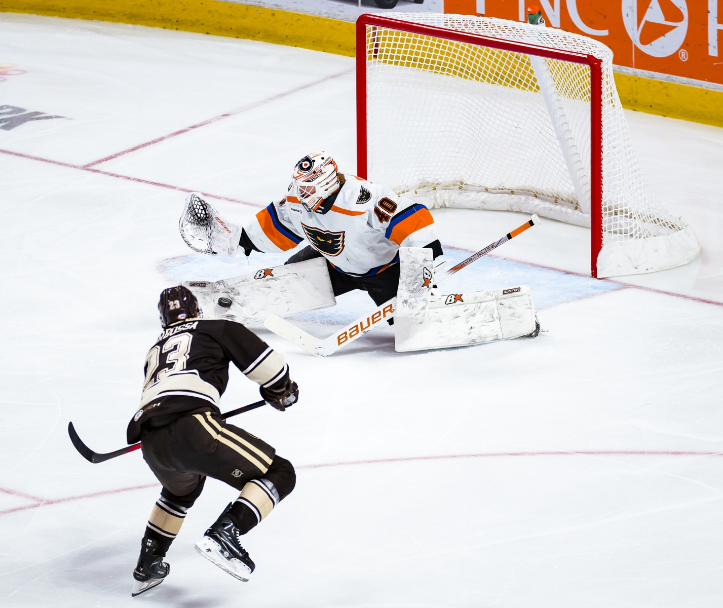 AHL Hockey