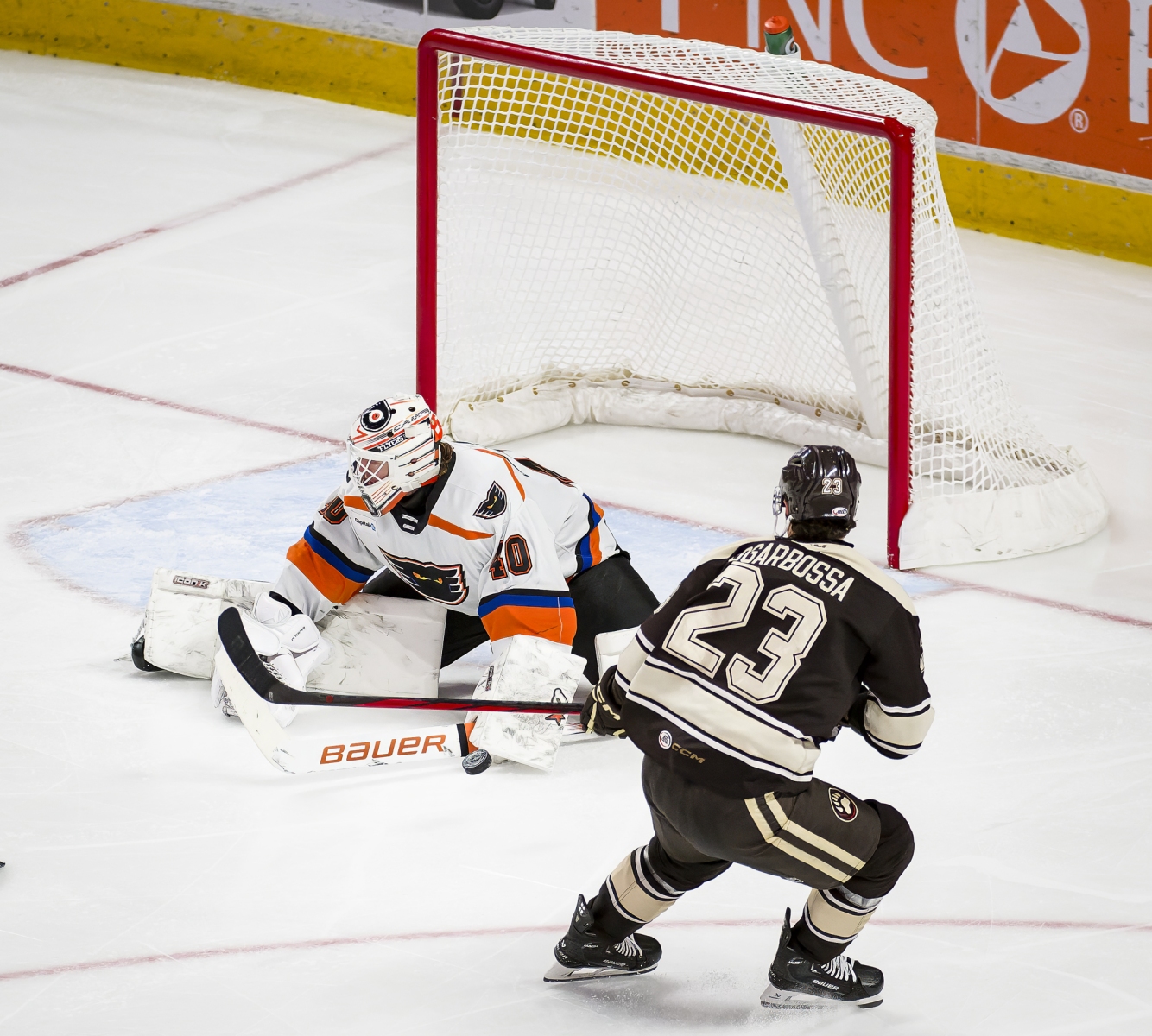 AHL Hockey