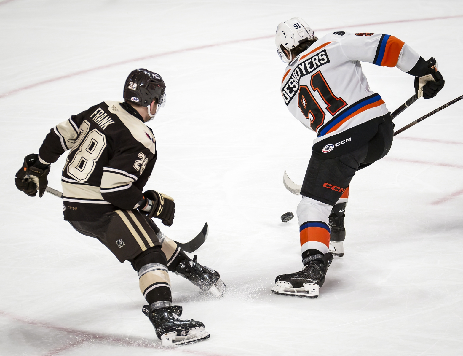 AHL Hockey