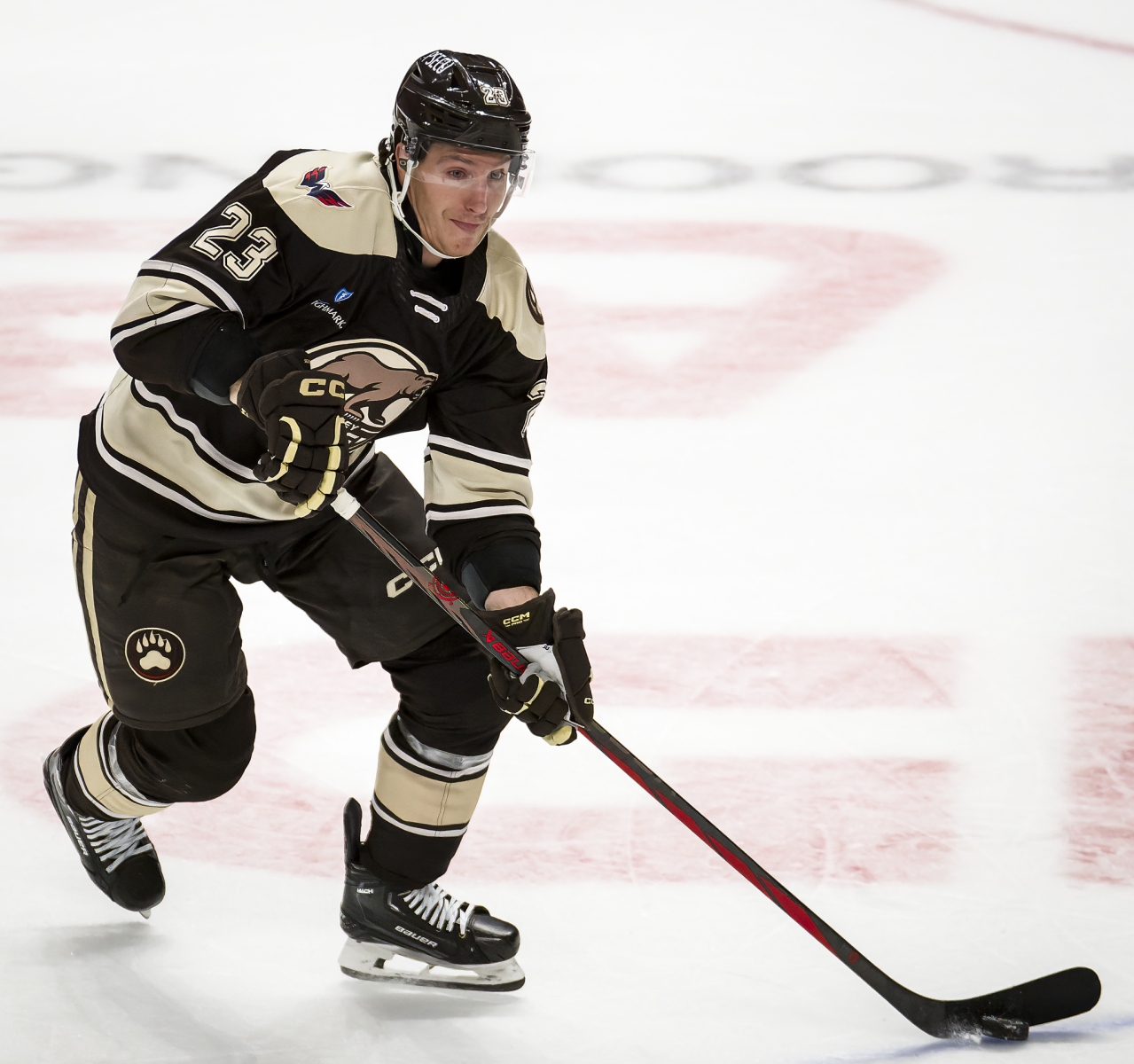 AHL Hockey