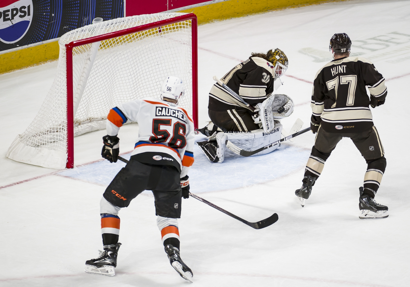 AHL Hockey