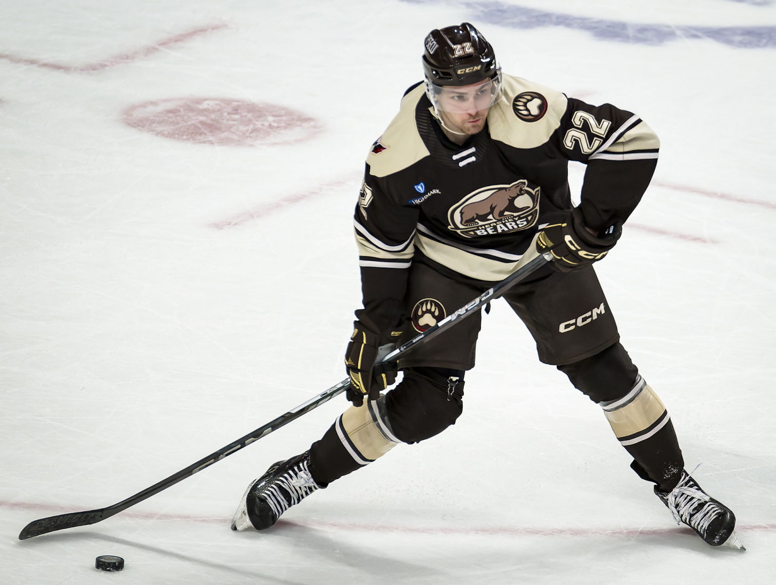 AHL Hockey