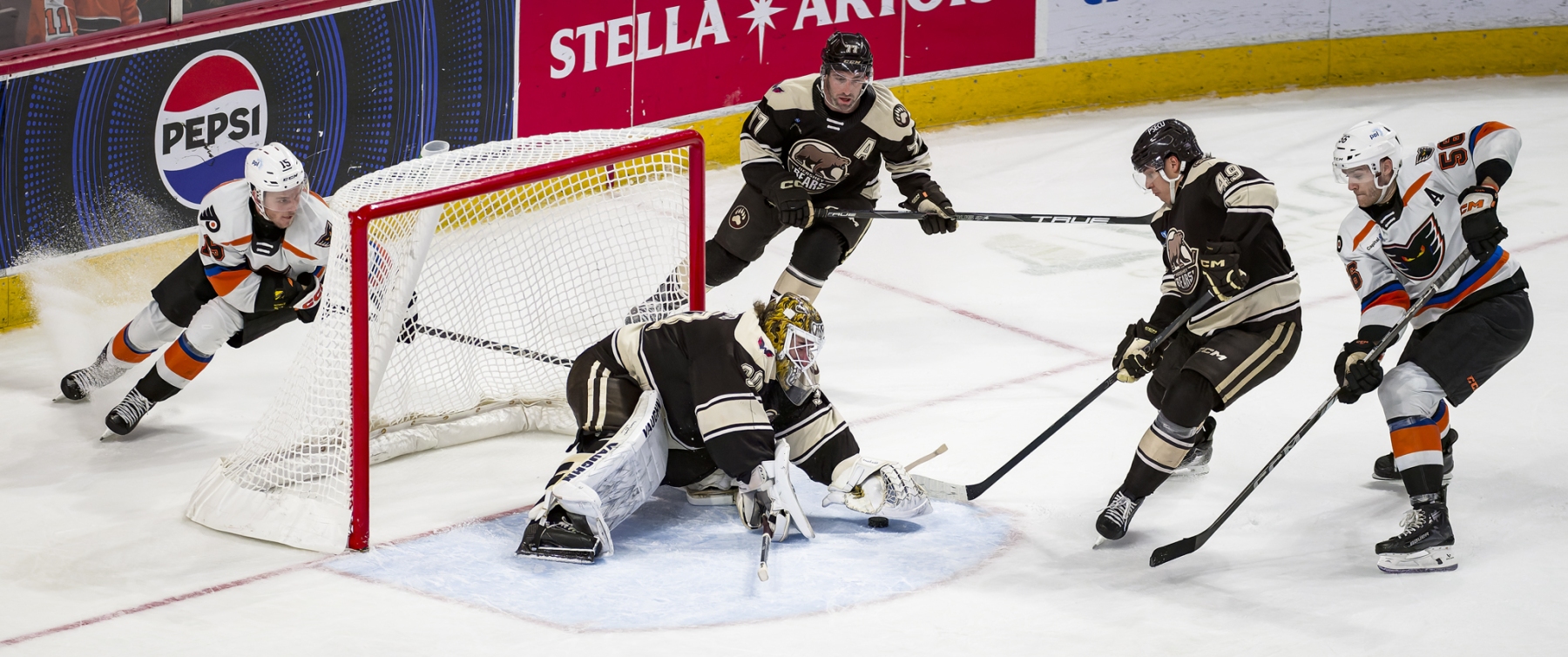 AHL Hockey