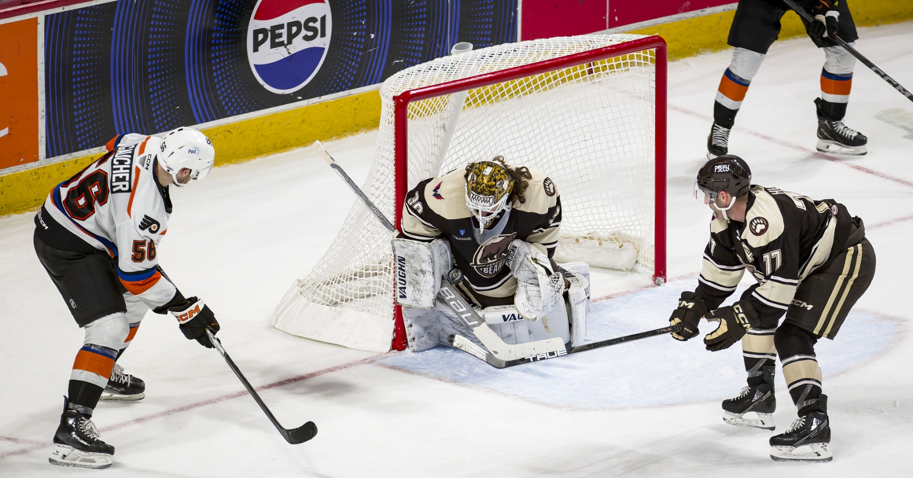 AHL Hockey