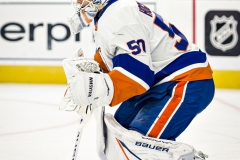 NHL Hockey