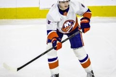 NHL Hockey