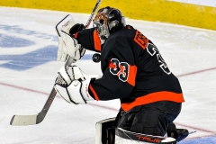 NHL Hockey