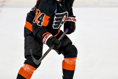 NHL Hockey