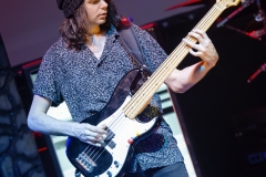 BSD8166_DxO-copy BSD8166_DxO-copy
