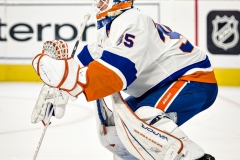 NHL Hockey