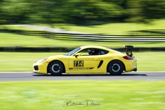 BSD2673_DxO-copy