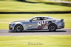 BSD3104_DxO-copy