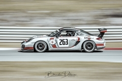 BSD3241_DxO-copy