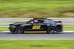 BSD3309_DxO-copy