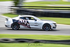 BSD3599_DxO-copy