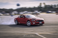 BSD6379_DxO-copy